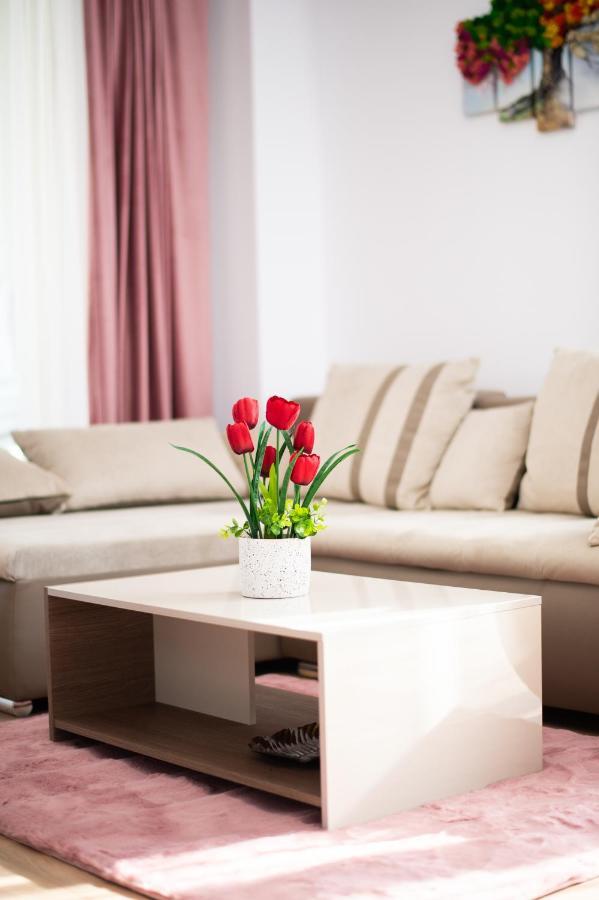 Claseb Apartment Temešvár Exteriér fotografie